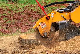 Best Lawn Disease Treatment  in Crowley Lake, CA